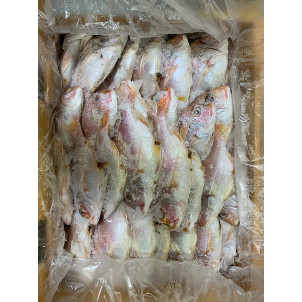 [Jeju] Frozen Seabream Approx 15.41lb (55-60pcs) - Seafood