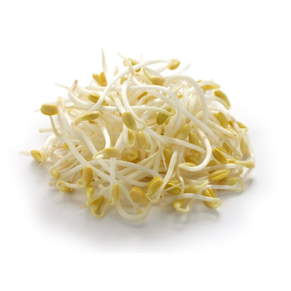 Soybean Sprouts 1lb - Vegetables